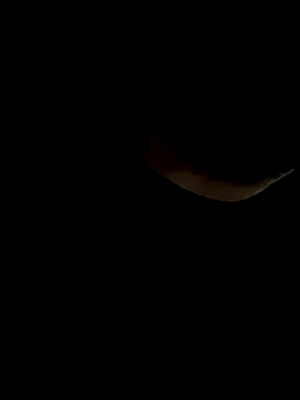 Dakota_Blare – webcam model profile photo Image 5