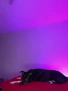 ariiel_ Image 3