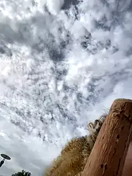 roouse – webcam model profile photo Image 14