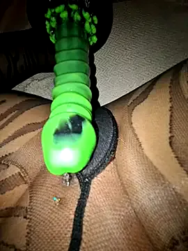 dirtypub – webcam model profile photo Image 9