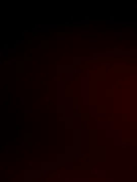 the_crazysex – webcam model profile photo Image 10