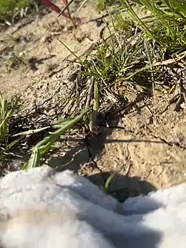 dirtypub – webcam model profile photo Image 3