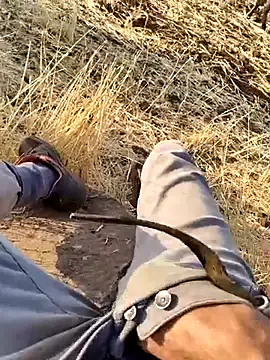 roouse – webcam model profile photo Image 11