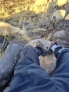 roouse – webcam model profile photo Image 12