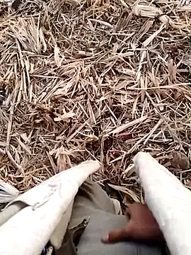 roouse – webcam model profile photo Image 15