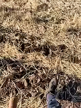 roouse – webcam model profile photo Image 6