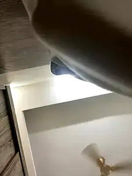 PumaShyXD – webcam model profile photo Image 4