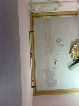 PumaShyXD – webcam model profile photo Image 8