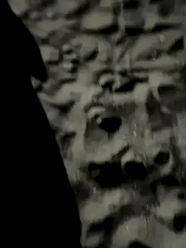 roouse – webcam model profile photo Image 12